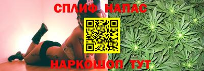 дмт Ярославль